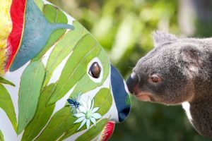 Koala Trail Port Macquarie
